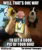 e0b58585dc53ae97dc9b0d3373366bdd.jpg