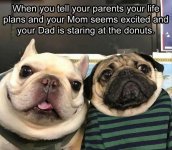 de962bc7ee73fce89f2befb0a109da37.jpg