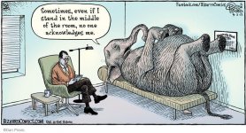 elephant.jpg