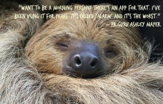sleeping-sloth-quote2.jpg.838x0_q80.jpg