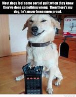 downloadfile-4.jpg