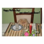 birthday-cards-mom-funny-cat-funny-cat.jpg