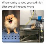 334d5c6bf6eb37994c8297c7b3857fca.jpg