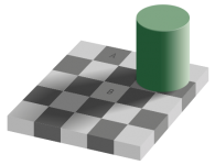440px-grey_square_optical_illusion-svg.png