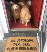 funny-animals-7-5.jpg