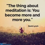 Meditation-quote-David-Lynch.jpeg