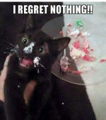i-regret-nothing-black-cat-funny-cats-pinterest-of-funny-cats-pinterest-of-funny-cats-pinterest.jpeg