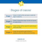 stages-of-cancer-graphic-600x600.jpg