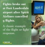 fights-broke-out-at-fort-lauderdale-spirit-airport-after-spirit-20673220.jpeg