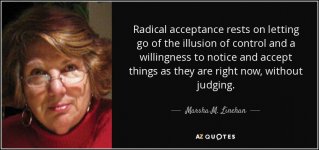 quote-radical-acceptance-rests-on-letting-go-of-the-illusion-of-control-and-a-willingness-marsh.jpeg