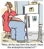 health-beauty-exercise-exercising-trains-couch_potatoes-trains-mban2017_low.jpg