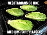 funny-lettuce-grill-vegetarians.jpeg