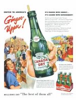 5c2489c6fe138b35fad67e114fbe4fd4--ginger-ale-vintage-advertisements.jpeg