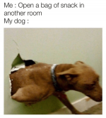 37605.jpg.png