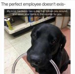 8c2d419048ec9e86bbdd6586c7627fd7.jpeg