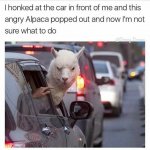 4492f0adf5f9da1414cc6551b9e77919.jpeg