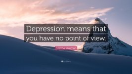 4427293-Andrew-Solomon-Quote-Depression-means-that-you-have-no-point-of.jpg