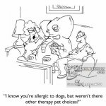 animals-dog_allergy-therapy_animal-therapy_pet-therapy_dog-animal_assisted_therapy-mbcn4659_low.jpg