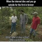38656296_896415620548231_9081961668858085376_n.jpeg
