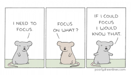 DE5E1359-1A84-4247-A88E-1F211C097588.png