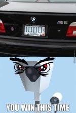 i-need-that-car-plate_o_3187987.jpg