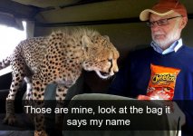 featured_Funny_animal_snapchats.jpg
