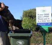 dog-in-bin-2.jpg