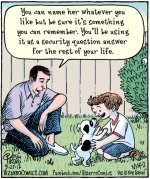 dog1.jpeg