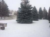 IMG_0912.JPG