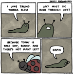 244008.png