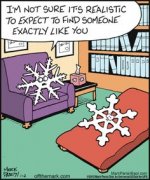 7f213a099b8a62cd5915d2628005cf33--christmas-greetings-christmas-jokes.jpg