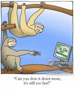 animals-sloth-wild_animal-relax-relaxation-zoo-gckn187_low.jpg