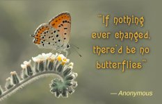 change-butterfly-quote.jpg