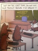 322186bc66811fa84877750883008c2b--humour-hilarious.jpg