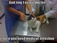 funny-pictures-when-cat-is-done-with-you-you-will-need-medical-attention.jpg