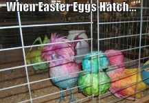hatch.png