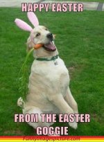 Easter-Funny-Images-18.jpg