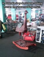 funny-emu-play-horse.jpg