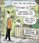 emotional-support-dog.JPG
