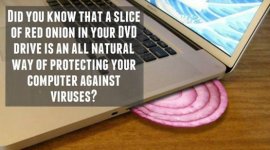Red-Onion.jpg