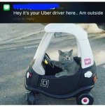 72eb5ca5a12f03fd0f75804107083ce4--uber-driver-the-one.jpg