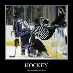 8606df80b1a1b0b035cb91bd5948f0a4--funny-hockey-funny-sports.jpg