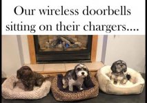 doorbell.jpg