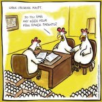 When-Chicken-Adopt-Funny-Cartoon-Picture.jpg