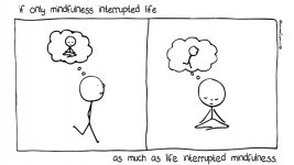 if-only-mindfulness-interrupted-life.jpg