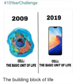 10yearchallenge-2009-2019-cell-cell-the-basic-unit-of-life-41611476.png