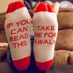 TakeMeforaWalkSocks_2.png