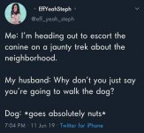 canine-walking.JPG