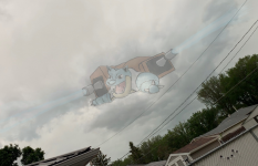 pic4.png