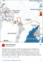 Screenshot_2019-07-03 Arctic Fox Sets Record In Walking From Norway To Canada.png